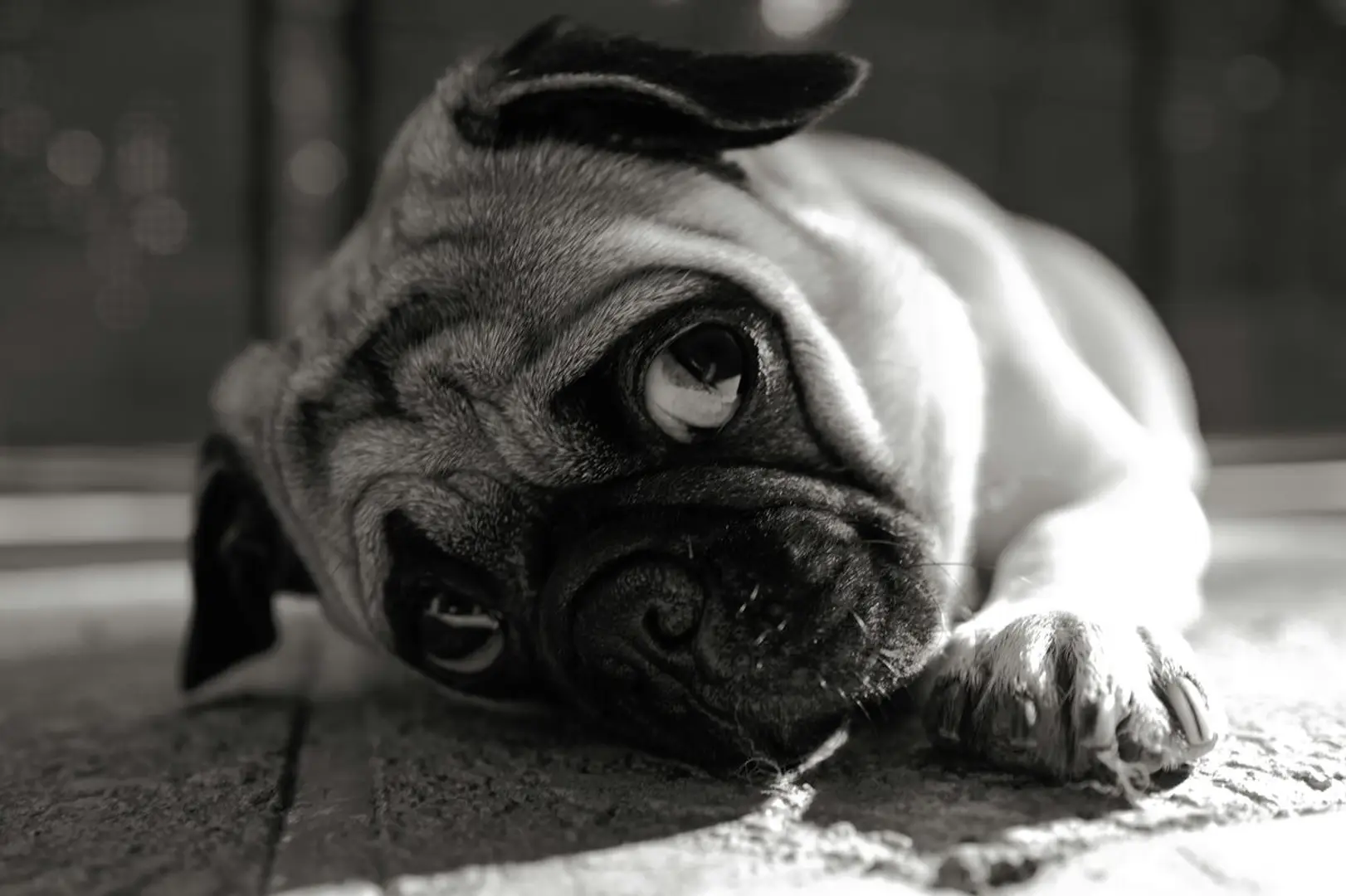 6870f92a408a2577609f8137